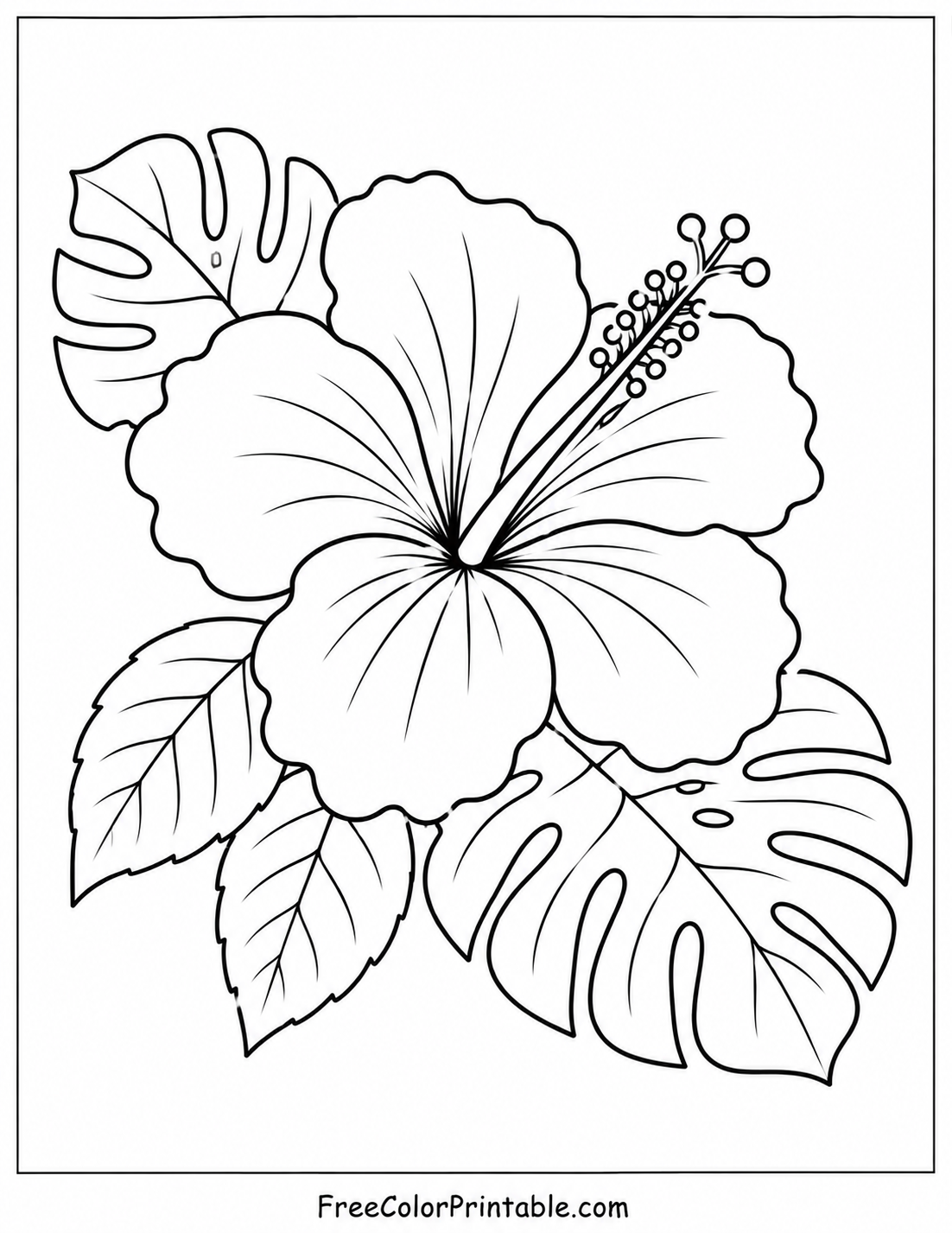 Hibiscus and tropical leaves coloring page Coloring Page — Free Printable — free printable coloring page